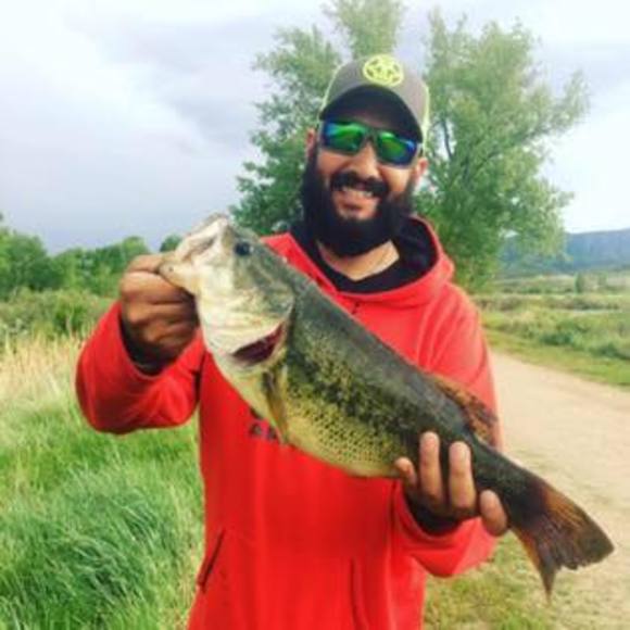 Meet your Posher, Kyle - Picture 1 of 1